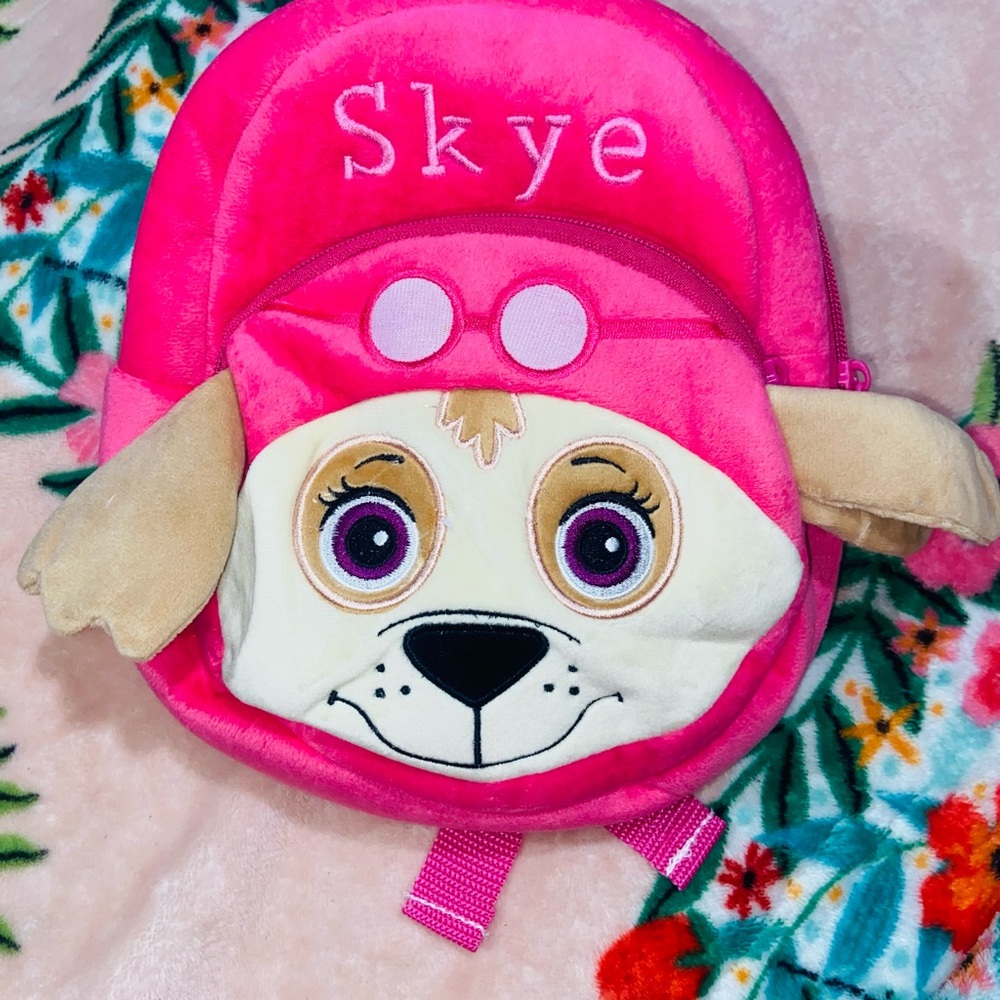 Paw Patrol Pink Skye Kids Backpack